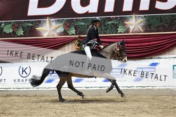 175934_avh_02_7971.JPG