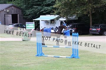 181805_mlm_01_R62_5176.JPG