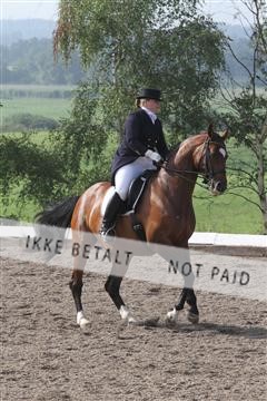 135676_sg_01_IMG_7406.JPG