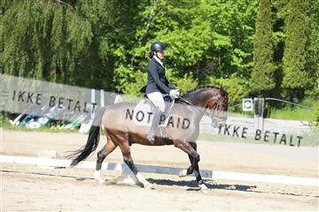168732_mtp_01_3M5A6222.JPG