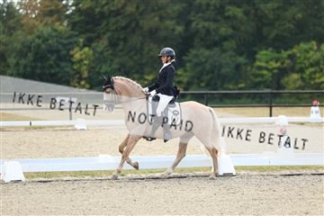 181894_mtp_02_R62_1662.JPG