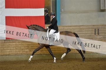 144288_abo_01__AB21989.JPG