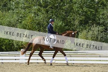 136195_abo_01__AB15982.JPG