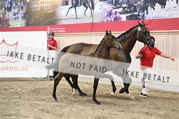 181754_kbb_01_Z093751.JPG