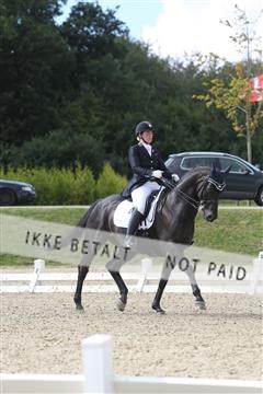 148862_sg_01_IMG_3475.JPG