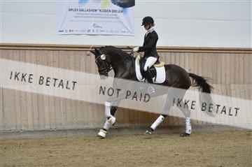 160111_nn_01__ESK2149.JPG