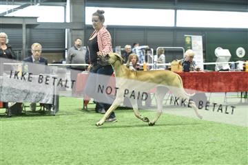 163793_bkn_01__BKN8851.JPG
