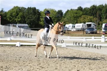 181894_mtp_05_R62_4794.JPG