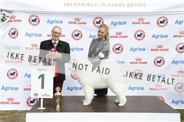 181848_kar_01__62_3674.JPG