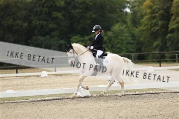 181894_mtp_02_R62_1087.JPG
