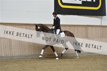 160111_nn_01__ESK2184.JPG