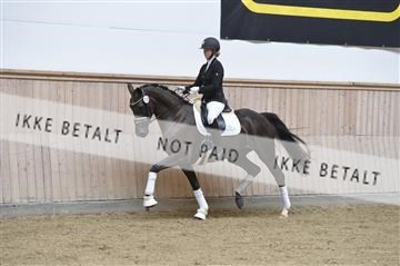 160111_nn_01__ESK1412.JPG