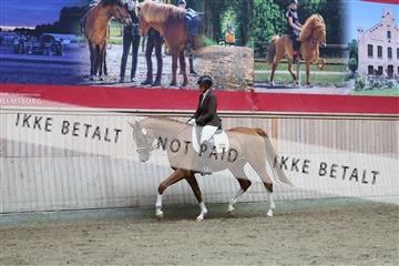 181887_mtp_01_R62_7043.JPG