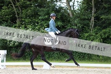 172073_mtp_01_3M5A3106.JPG