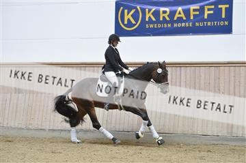 160111_nn_01__ESK1982.JPG
