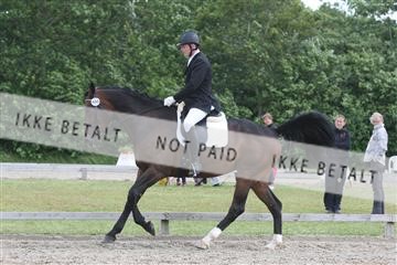 135518_ms_01_IMG_1905.JPG