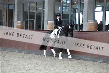 181852_mtp_05_R62_3276.JPG