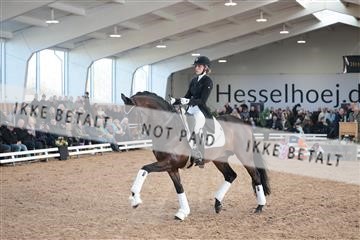 179022_kbb_01_R6II2442.JPG
