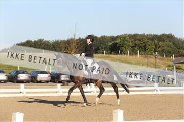 148862_sg_01_IMG_2397.JPG