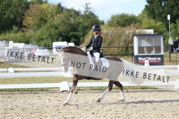181894_mtp_05_R62_5159.JPG