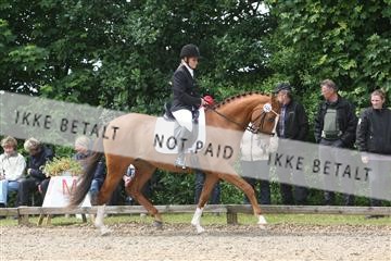 135518_ms_01_IMG_1391.JPG
