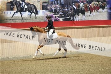 175676_avh_01_R62_4358.JPG