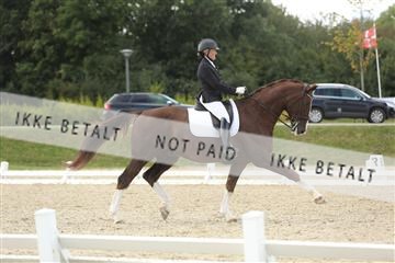 148862_sg_01_IMG_3515.JPG