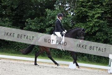 172073_mtp_01_3M5A2927.JPG