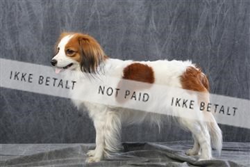 129608_le_ 01_0552.JPG