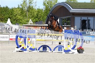 181436_avh_02_3830.JPG