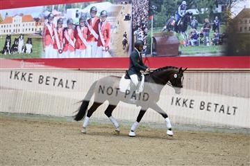 181887_mtp_04_R62_8402.JPG