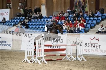 181957_kbb_03_Z091449.JPG