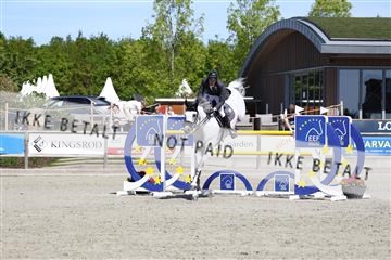 181436_avh_02_3774.JPG