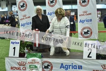 163793_bkn_01__BKN9144.JPG