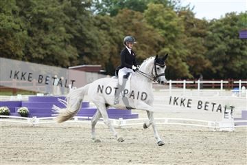 181923_mtp_04_R62_8391.JPG