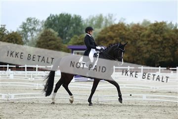 181923_mtp_01_R62_6857.JPG