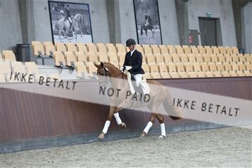 181852_mtp_04_R62_2949.JPG