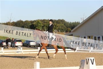 148862_sg_01_IMG_2250.JPG