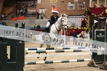 175934_avh_02_6941.JPG