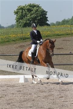 135086_sg_01_IMG_0026.JPG