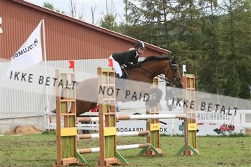 5925_ma_05_IMG_0788.JPG
