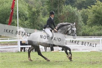 5925_ma_05_IMG_0639.JPG