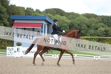 181957_mtp_01_3M5A7800.JPG