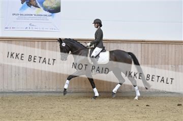 160111_nn_01__ESK1655.JPG