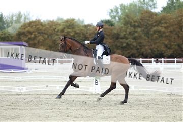 181923_mtp_04_R62_8834.JPG
