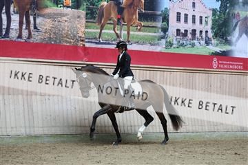 181887_mtp_02_R62_7545.JPG