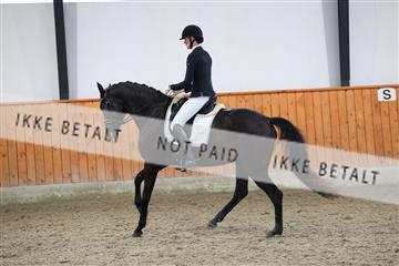 175681_avh_01_R62_0918.JPG