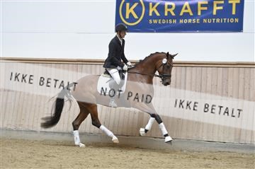 160111_nn_01__ESK2007.JPG