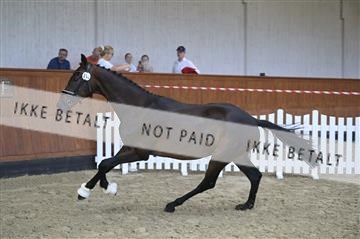 181595_kbb_01_Z097000.JPG