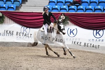 164312_ikd_01D05_9215.JPG